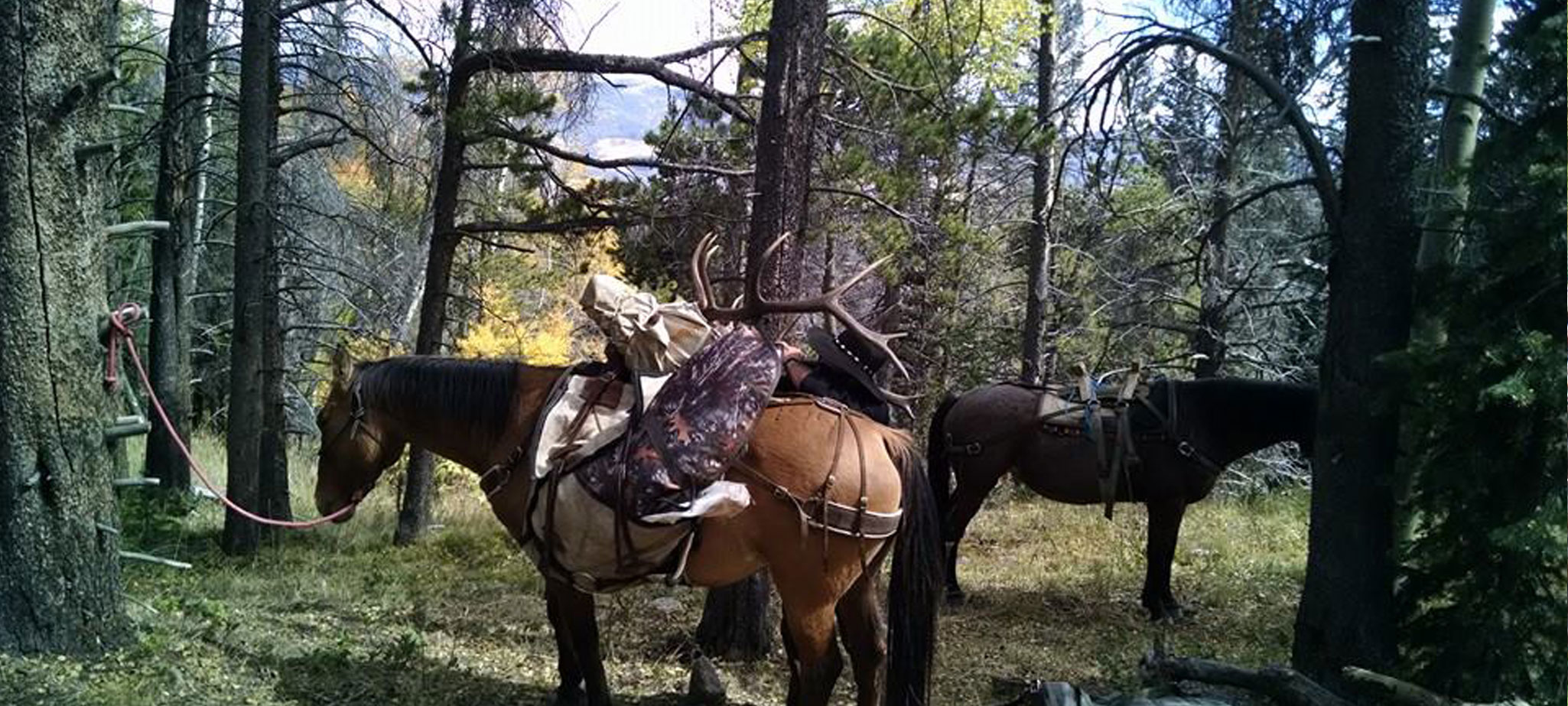 guided horseback hunting trips